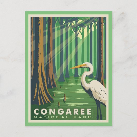 Congaree National Park SC Postcard Briefkaart (Voorkant)