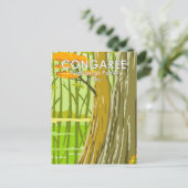 Congaree National Park South Carolina Art  Briefkaart (Staand voorkant)