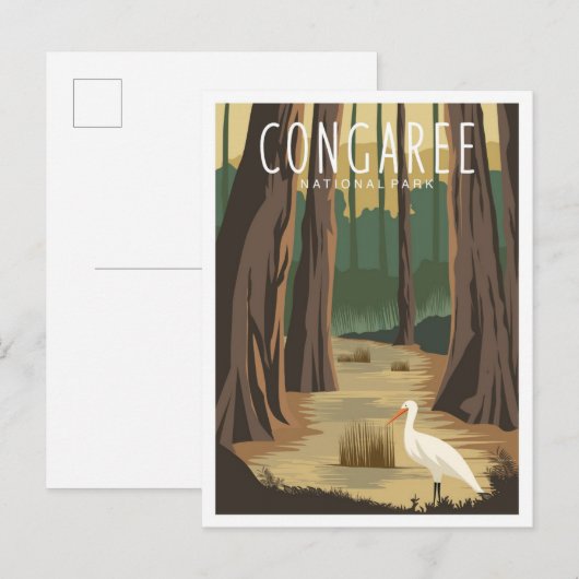 Congaree National Park South Carolina Illustration Briefkaart (Voorkant / Achterkant)