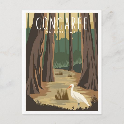 Congaree National Park South Carolina Illustration Briefkaart (Voorkant)
