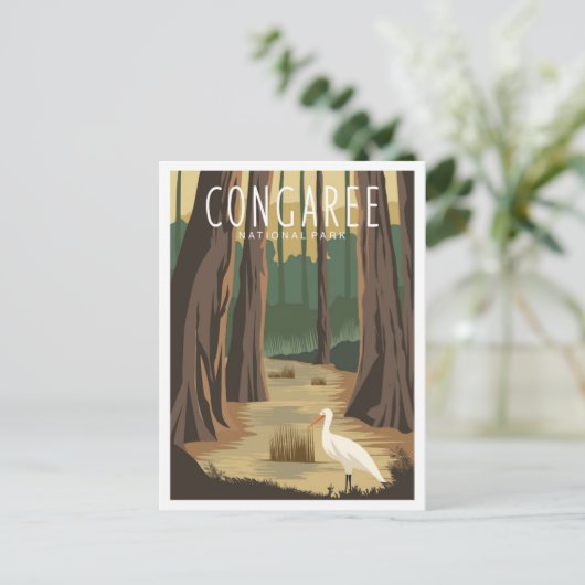 Congaree National Park South Carolina Illustration Briefkaart (Staand voorkant)