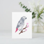 CONGO AFRICAN GRAY PARROT BRIEFKAART (Staand voorkant)