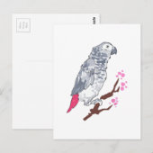 CONGO AFRICAN GRAY PARROT BRIEFKAART (Voorkant / Achterkant)