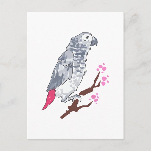 CONGO AFRICAN GRAY PARROT BRIEFKAART (Voorkant)