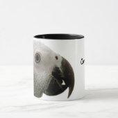 Congo-Afrikaanse grijze Mok (Midden)