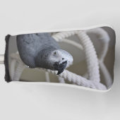Congo Afrikaanse grijze papegaai having plezier Golfheadcover (Voorkant)