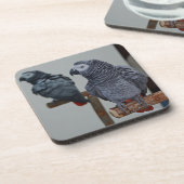 Congo-Afrikaanse grijze papegaai in Mirror Bier Onderzetter (Linkerzijde)