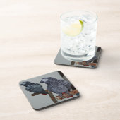 Congo-Afrikaanse grijze papegaai in Mirror Bier Onderzetter (Rechterzijde)