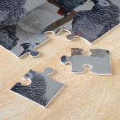 Congo-Afrikaanse grijze papegaai in Mirror Legpuzzel (Zijkant)