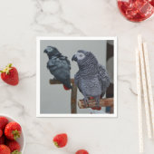 Congo-Afrikaanse grijze papegaai in Mirror Servet (Insitu)