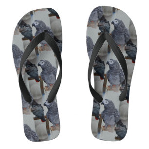 Congo-Afrikaanse grijze papegaai in Mirror Teenslippers