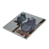 Congo-Afrikaanse grijze papegaai in Mirror Tegeltje (Zijkant)