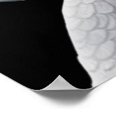 Congo-Afrikaanse grijze papegaai Poster (Hoek)