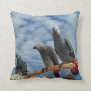 Congo-Afrikaanse grijze papegaai Sierkussen