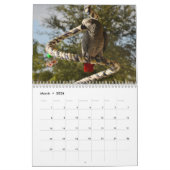 Congo-Afrikaanse Grijze Parrot-kalender Kalender (Mar 2026)