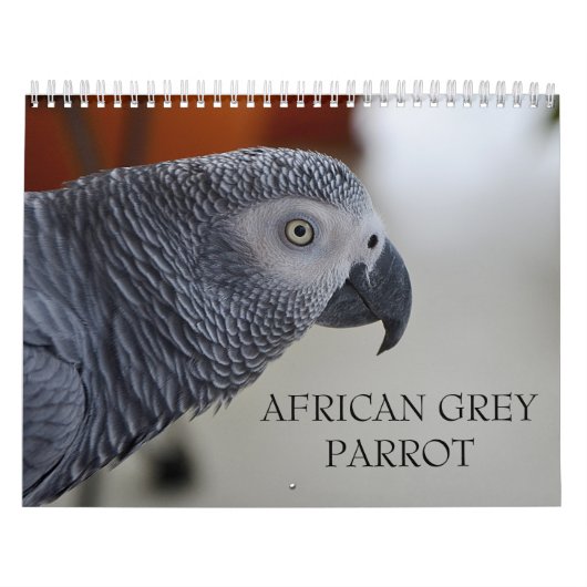 Congo-Afrikaanse Grijze Parrot-kalender Kalender (Hoes)