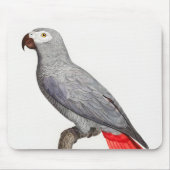 CONGO GRAY PARROT MUISMAT (Voorkant)