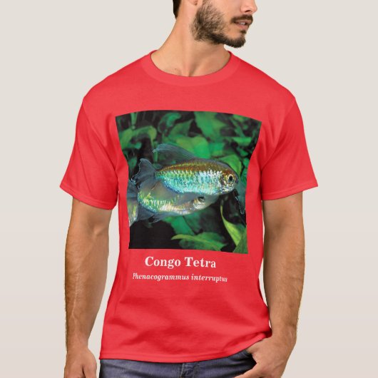 Congo tetra , Phenacogrammus interruptus T-shirt (Voorkant)