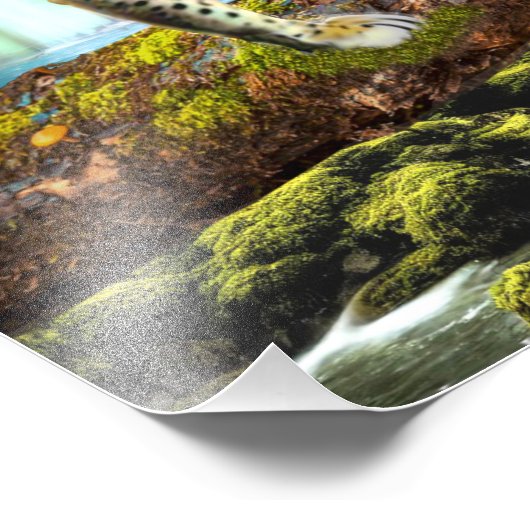 CONGOLEOPARD FOTO AFDRUK (Hoek)