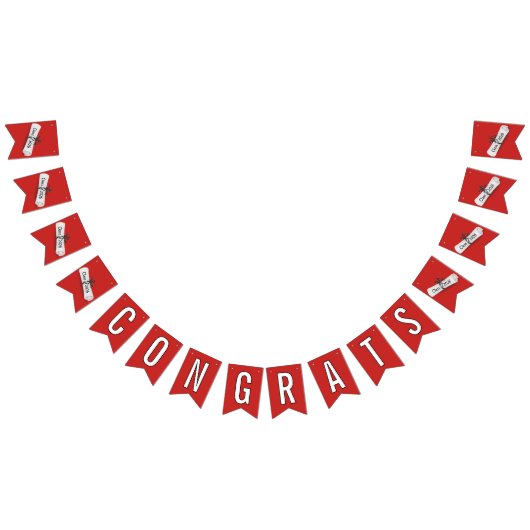 CONGRATS Afstuderen 2025 Wit Diploma Vlaggetjes (Alle)