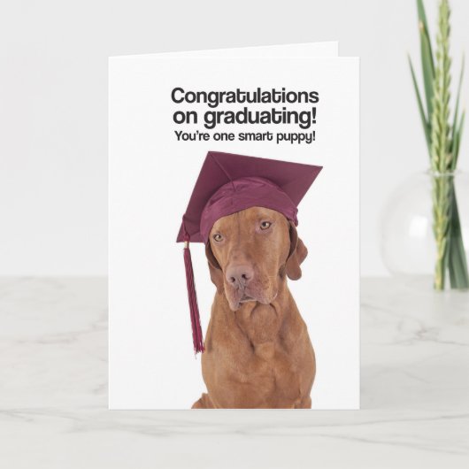 Congrats bij het Een diploma behalen (Vizsla) - Kaart (Voorkant)