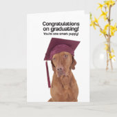 Congrats bij het Een diploma behalen (Vizsla) - Kaart (Gele Bloem)