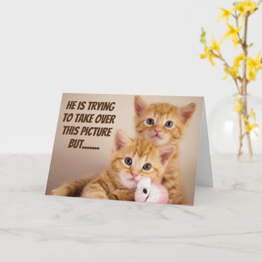 CONGRATS OP UW "NIEUW THUIS" VAN KITTY CATS KAART (Gele Bloem)