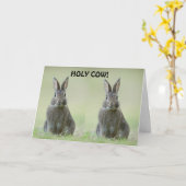 **CONGRATULATIE BIJ COLLEGE AFSTUDEREN** KAART (Gele Bloem)