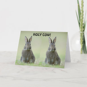 **CONGRATULATIE BIJ COLLEGE AFSTUDEREN** KAART