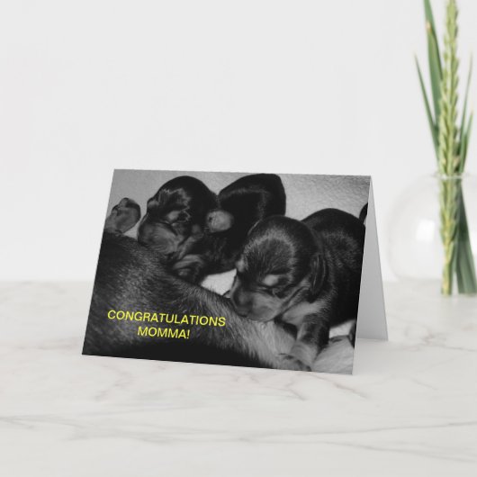 CONGRATULATIE MOMMA! KAART (Voorkant)