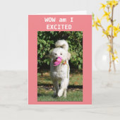 CONGRATULATIES OP UW **NIEUW THUIS** KAART (Gele Bloem)