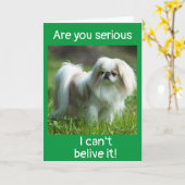 *CONGRATULATIES* OP UW *NIEUWE PUPPY*-KAART KAART (Gele Bloem)