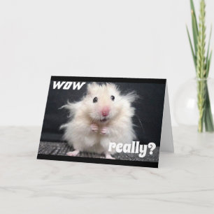 ***CONGRATULATIES*** ZELFS MIJN HAAR STOOD AAN HET KAART
