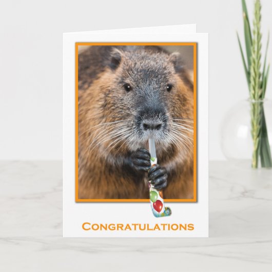 Congratulations card of beaver with flute kaart (Voorkant)