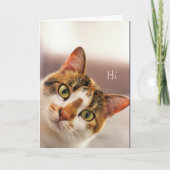 Congratulations! Cute Cat Kitten Animal Funny Card Kaart (Voorkant)