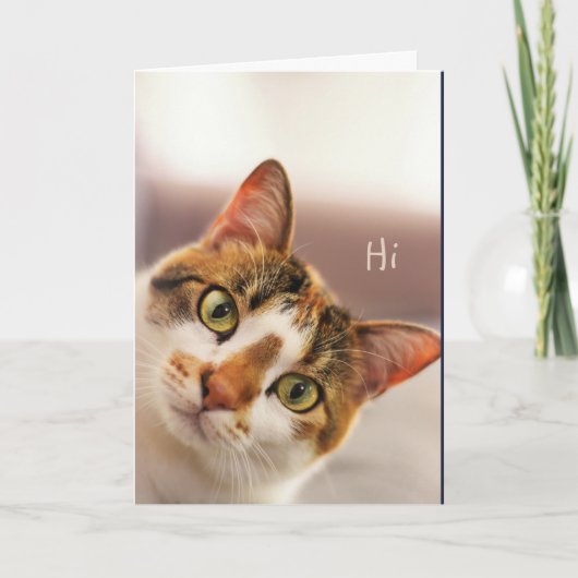 Congratulations! Cute Cat Kitten Animal Funny Card Kaart (Voorkant)