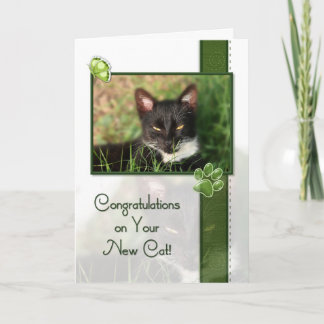 Congratulations on Your New Cat Kaart