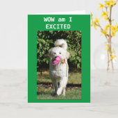 CONGRATULATIONS ON YOUR **NEW HOME** CARD KAART (Gele Bloem)