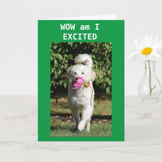 CONGRATULATIONS ON YOUR **PROMOTION** KAART (Kleine Plant)