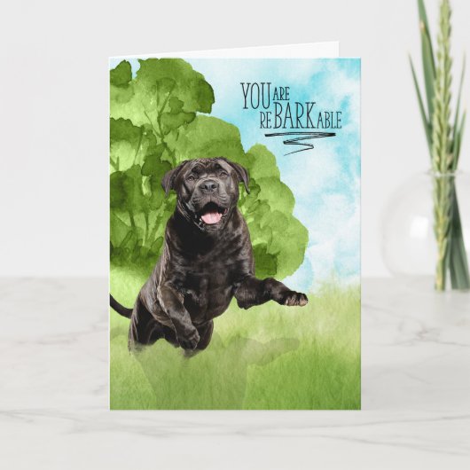 Congratulations reBARKable Cane Corso Dog Kaart (Voorkant)