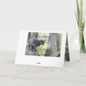 Congratulations Wish Kaart (Achterkant)