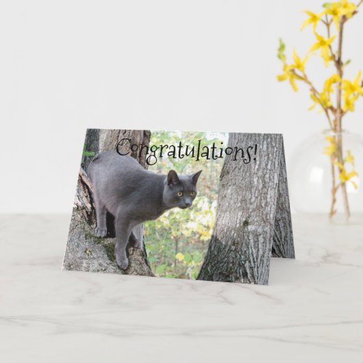 Congratulations Wish Kaart (Gele Bloem)