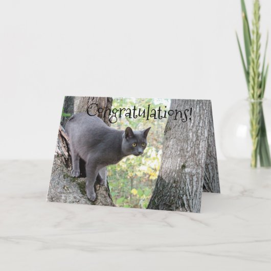 Congratulations Wish Kaart (Voorkant)