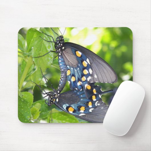 Congres Arizona Pipevine Swallowtail Butterfly Muismat (Met muis)