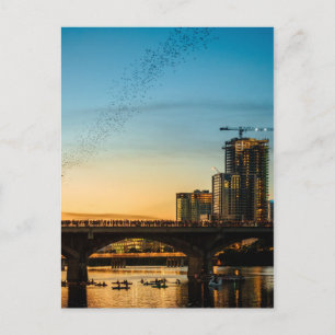 Congress Avenue Bridge Bat Watching Briefkaart