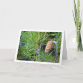 Conifeer Kegel op Dennenboom Kaart (Voorkant)