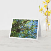 Conifeer Kegel op Groveboom Kaart (Gele Bloem)