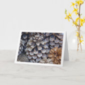 Conifer Cones Kaart (Gele Bloem)