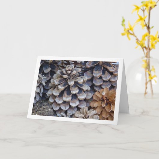 Conifer Cones Kaart (Gele Bloem)