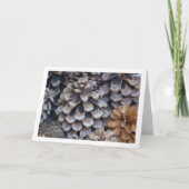 Conifer Cones Kaart (Voorkant)